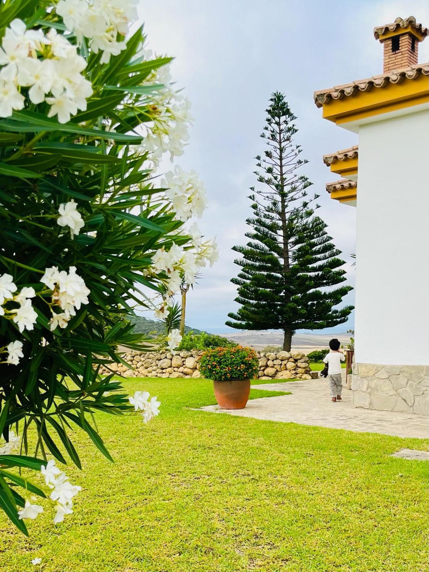 Finca La Vina Vejer de la Frontera Exterior foto